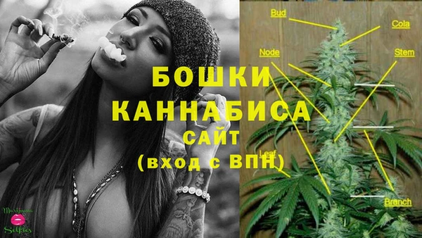 ECSTASY Козловка